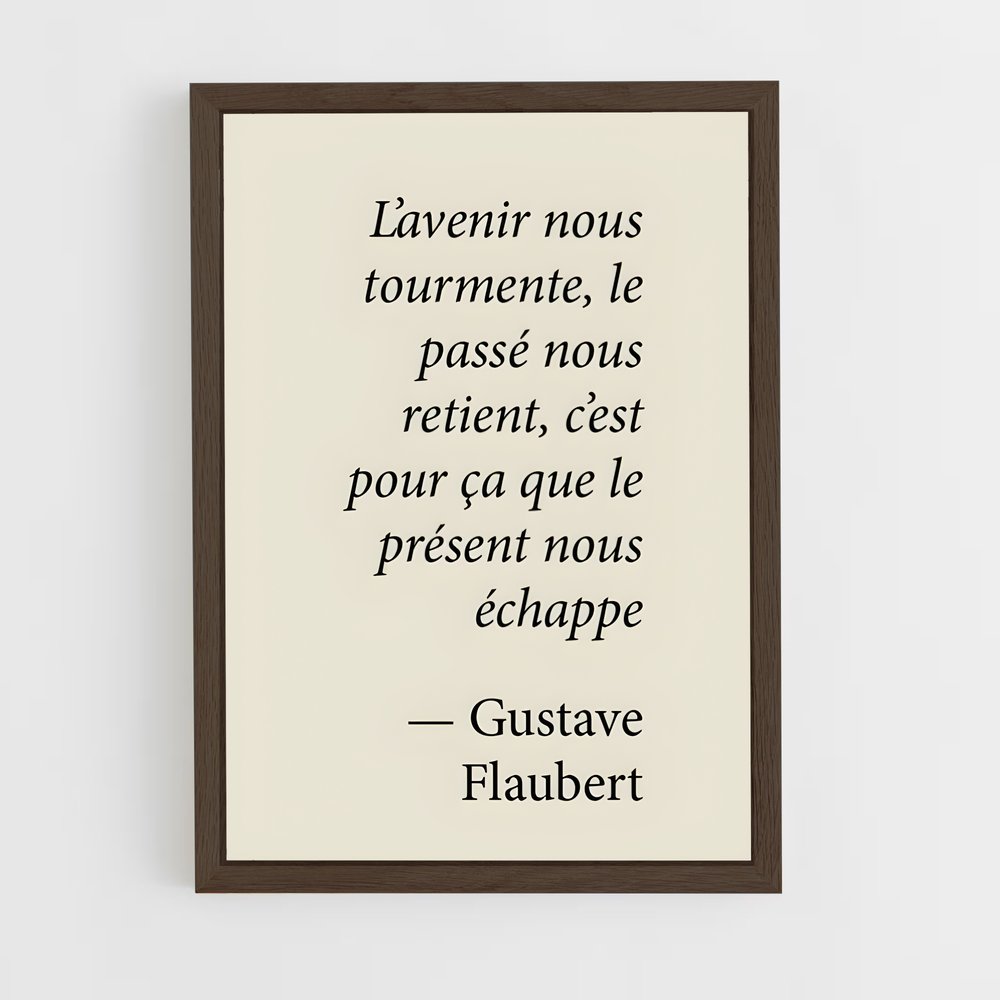 ap-gustave flaubert-1 cadre Bois foncé