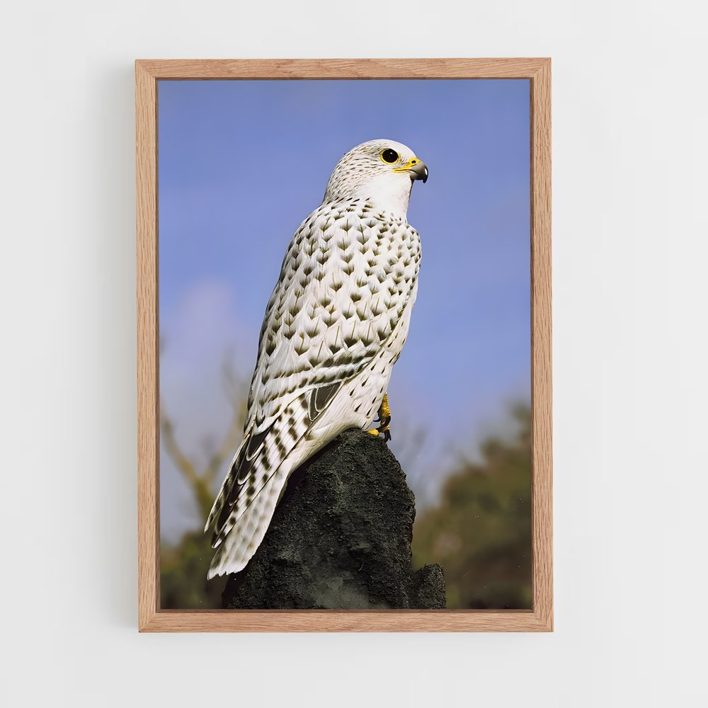 ap-gyrfalcon-2 cadre Bois clair