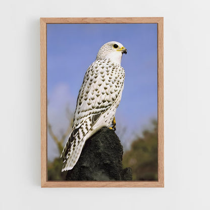 ap-gyrfalcon-2 cadre Bois clair