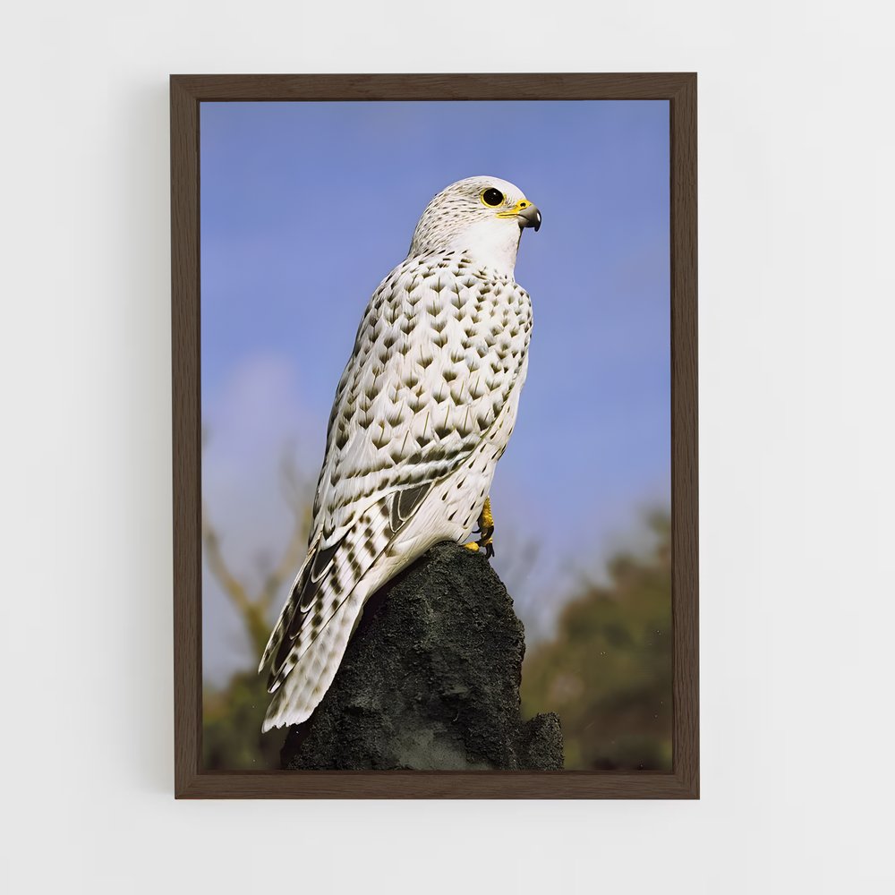 ap-gyrfalcon-2 cadre Bois foncé