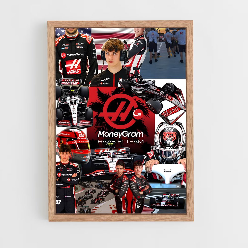 ap-haas f1 team-3 cadre Bois clair