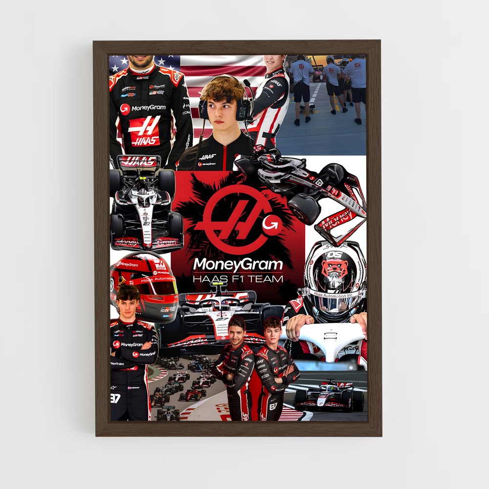 ap-haas f1 team-3 cadre Bois foncé