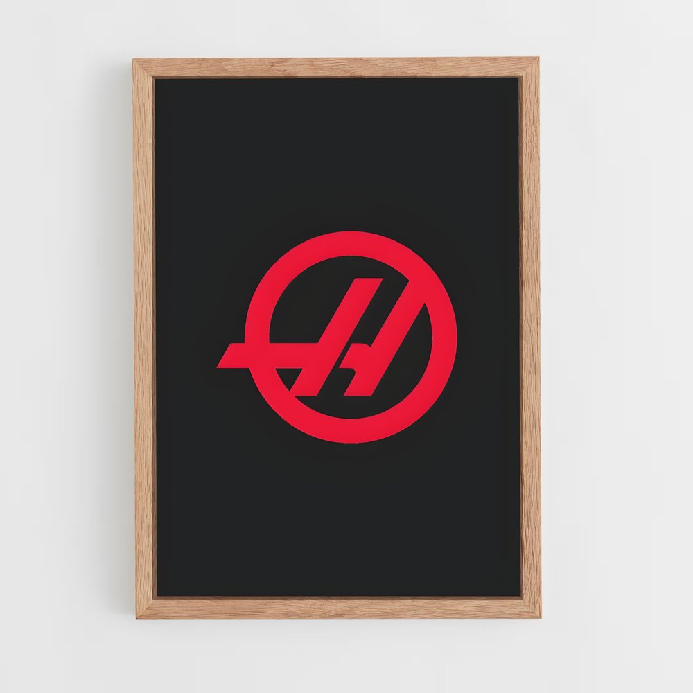 ap-haas f1 team-5 cadre Bois clair