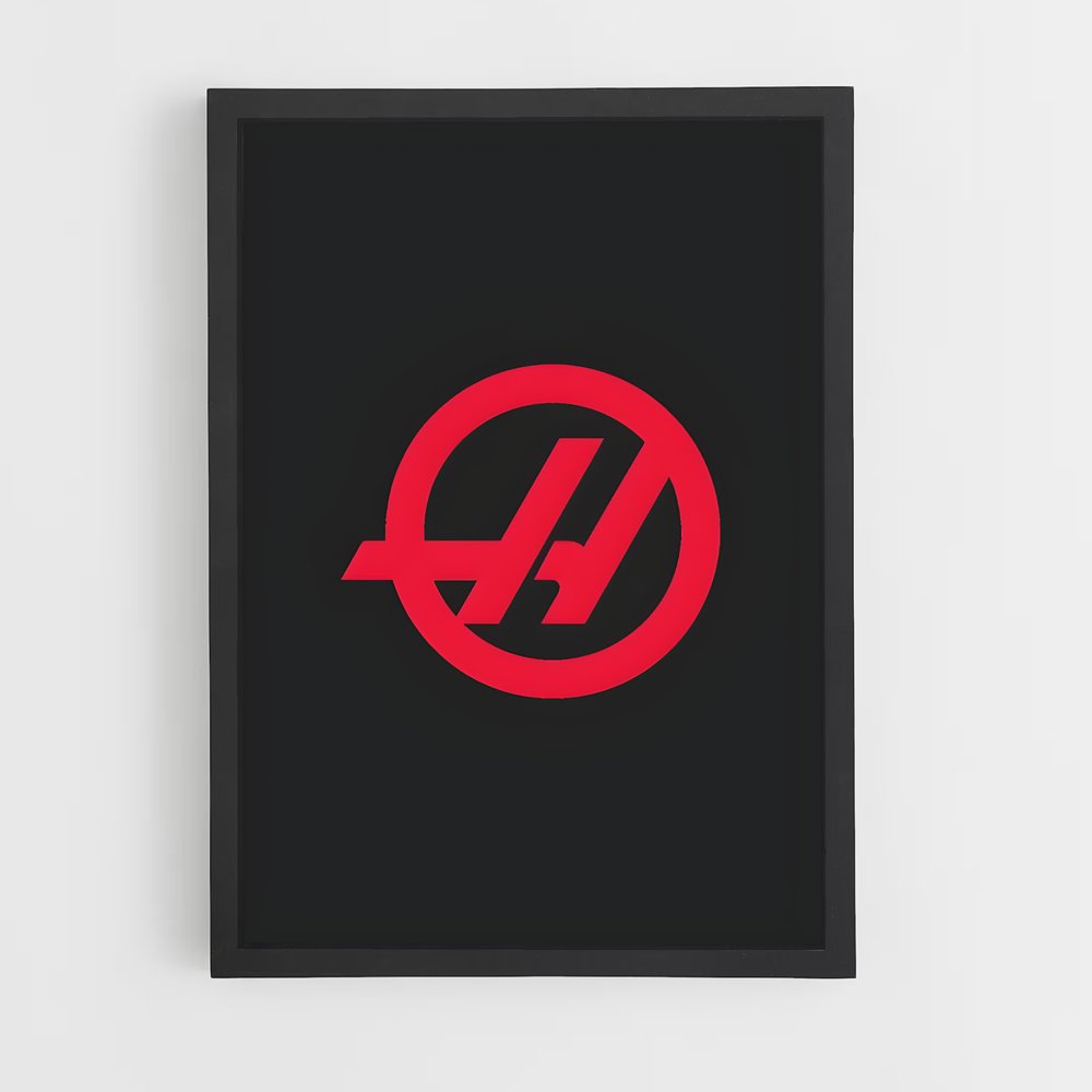 ap-haas f1 team-5 cadre Noir