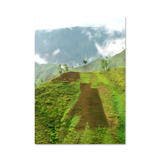 Poster Terres de Rizières