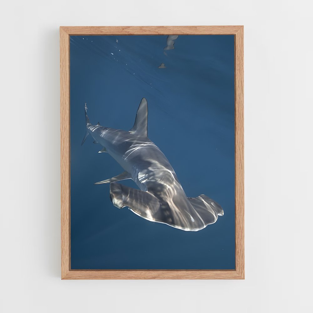 ap-hammerhead shark-5 cadre Bois clair