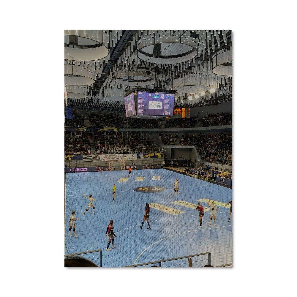 Poster Handball 73814