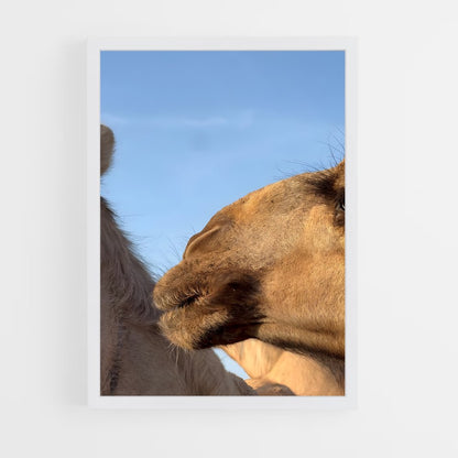 ap-hargeisa-1 cadre Blanc
