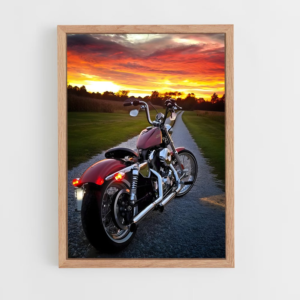 ap-harley davidson-1 cadre Bois clair