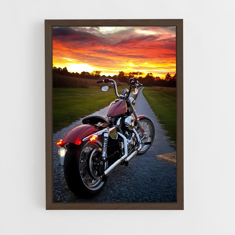 ap-harley davidson-1 cadre Bois foncé