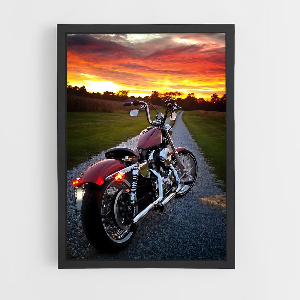 ap-harley davidson-1 cadre Noir