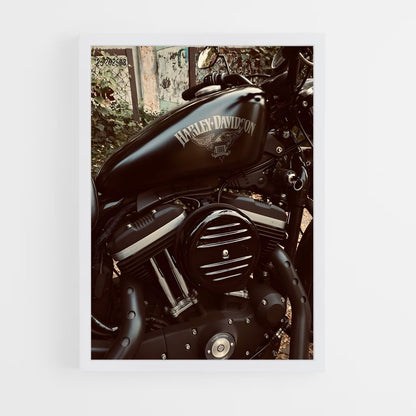 ap-harley davidson-2 cadre Blanc