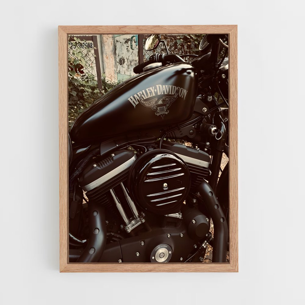ap-harley davidson-2 cadre Bois clair
