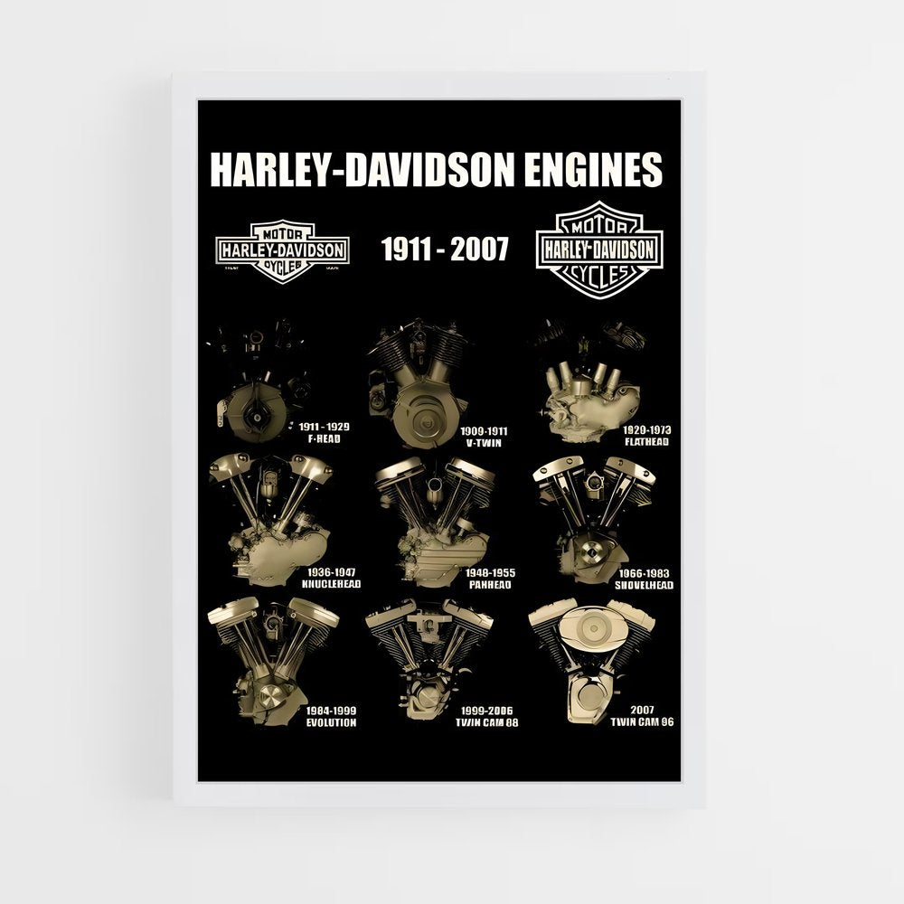 ap-harley davidson-7 cadre Blanc