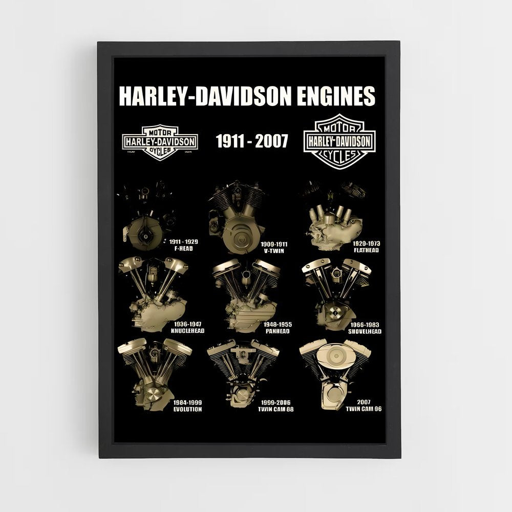 ap-harley davidson-7 cadre Noir
