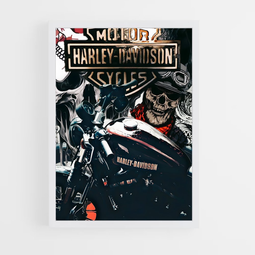 ap-harley race-3 cadre Blanc