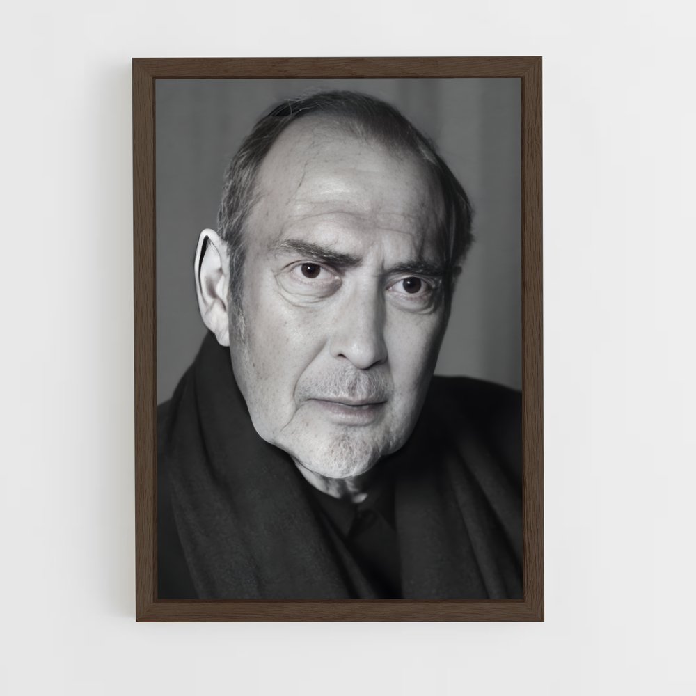 ap-harold pinter-2 cadre Bois foncé
