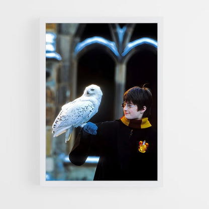 ap-harry potter-3 cadre Blanc