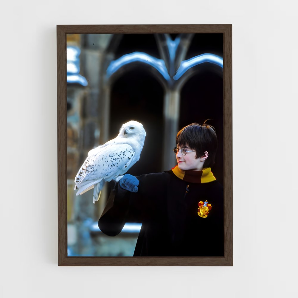 ap-harry potter-3 cadre Bois foncé