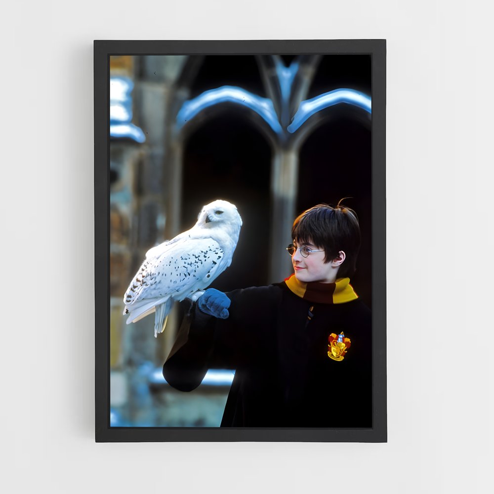 ap-harry potter-3 cadre Noir
