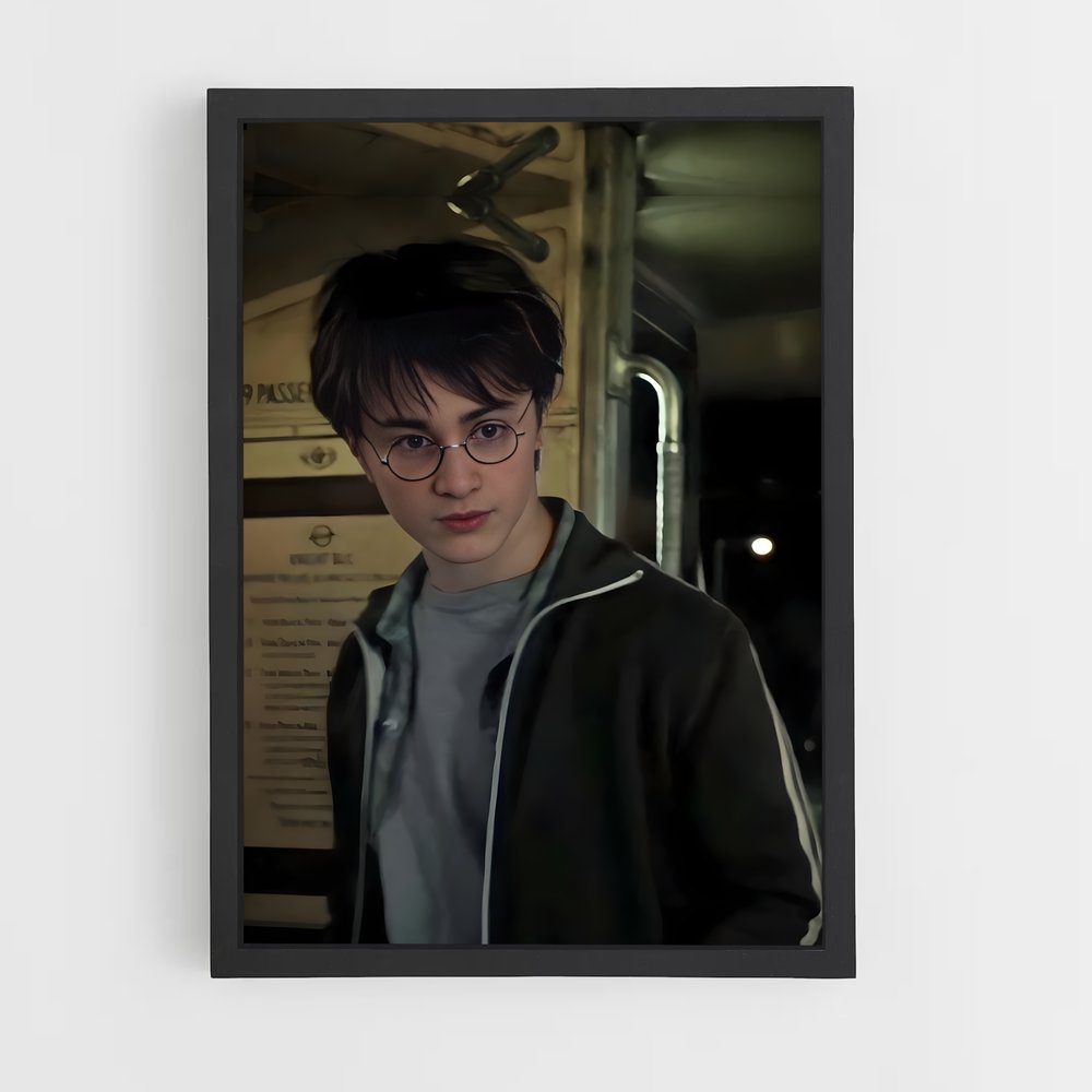 ap-harry potter-7 cadre Noir
