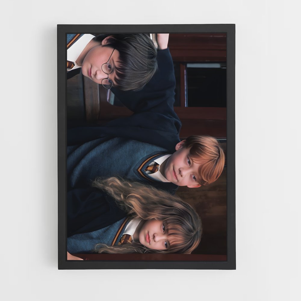 ap-harry potter-9 cadre Noir