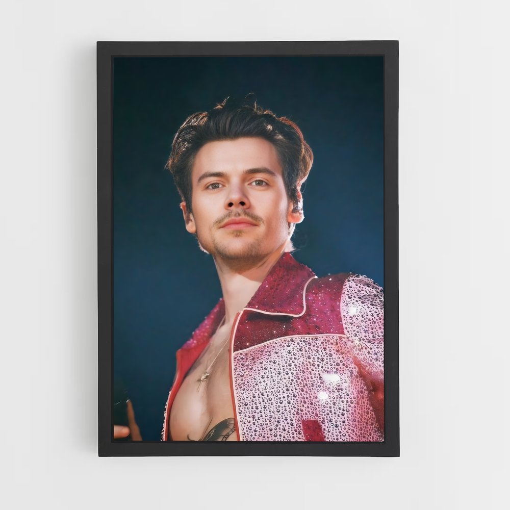 ap-harry styles-3 cadre Noir