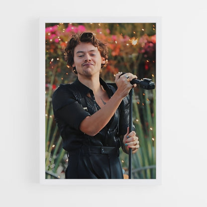 ap-harry styles-9 cadre Blanc