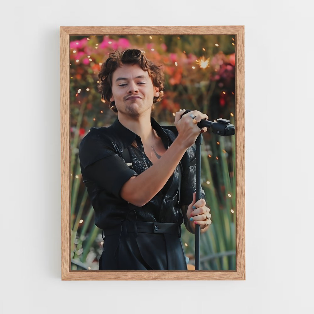 ap-harry styles-9 cadre Bois clair