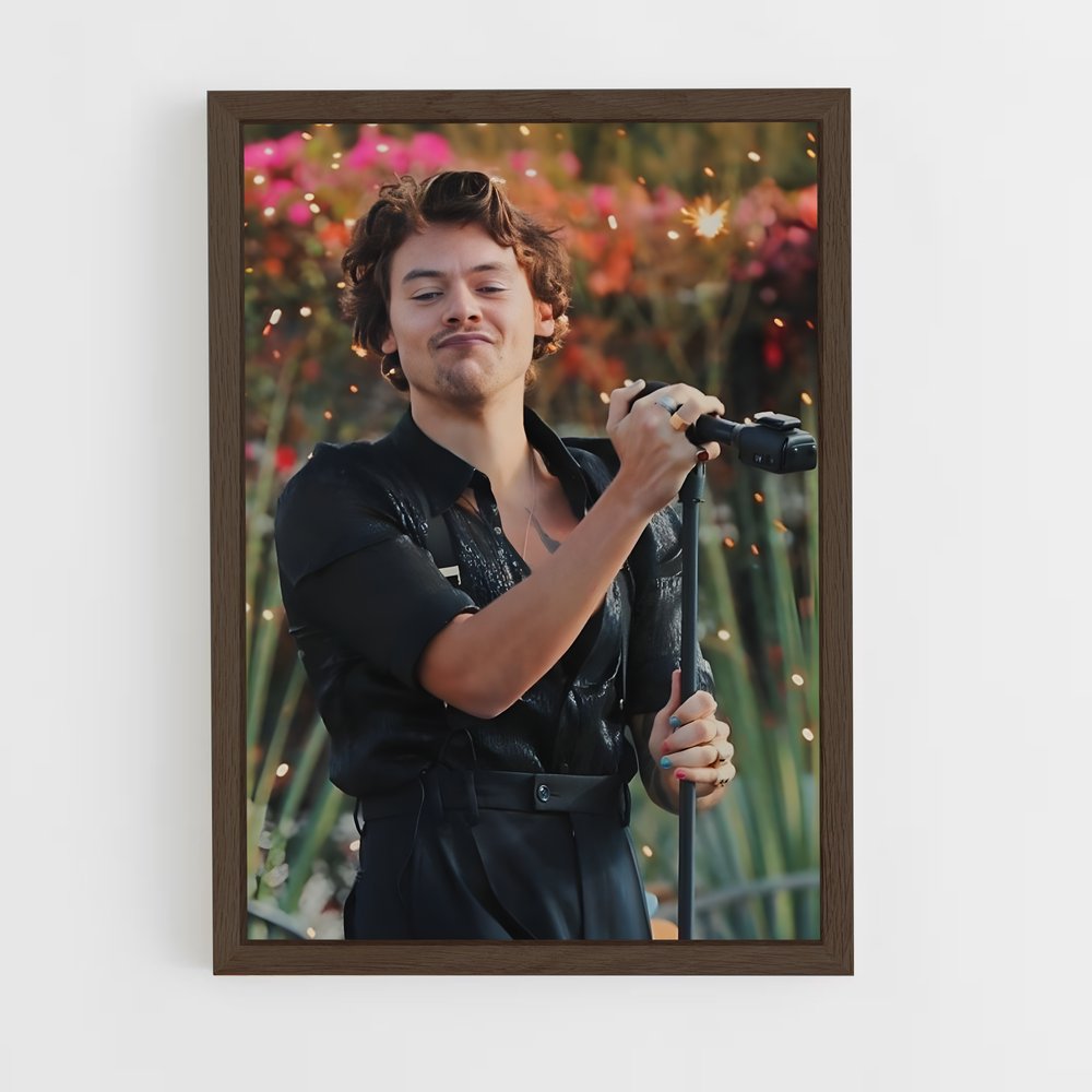 ap-harry styles-9 cadre Bois foncé