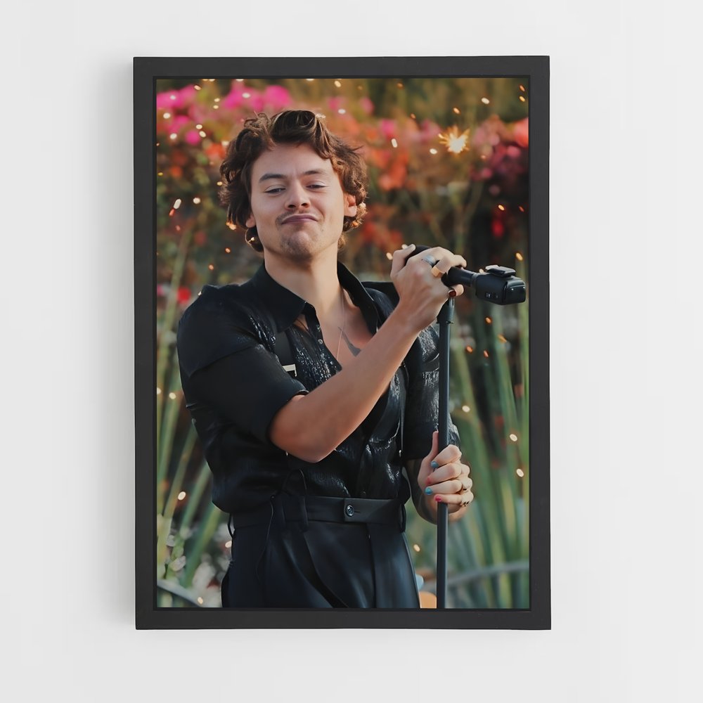 ap-harry styles-9 cadre Noir