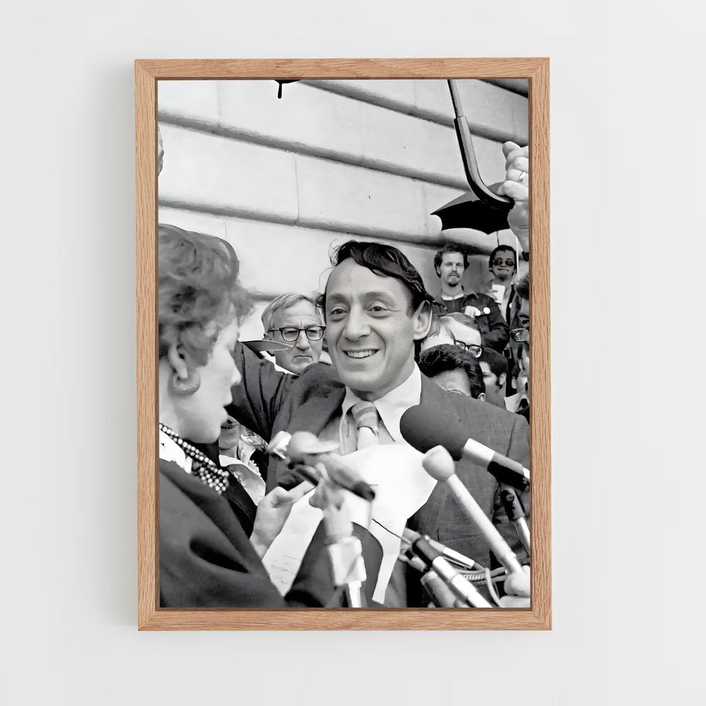 ap-harvey milk-2 cadre Bois clair