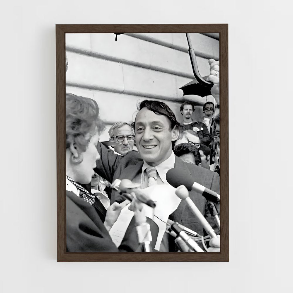 ap-harvey milk-2 cadre Bois foncé