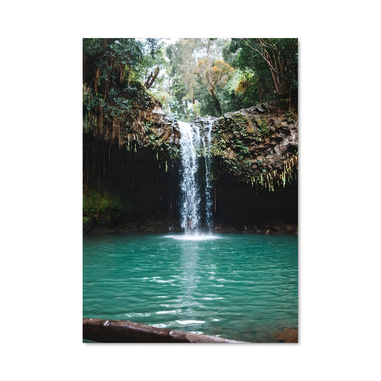 Poster Hawaii 93223