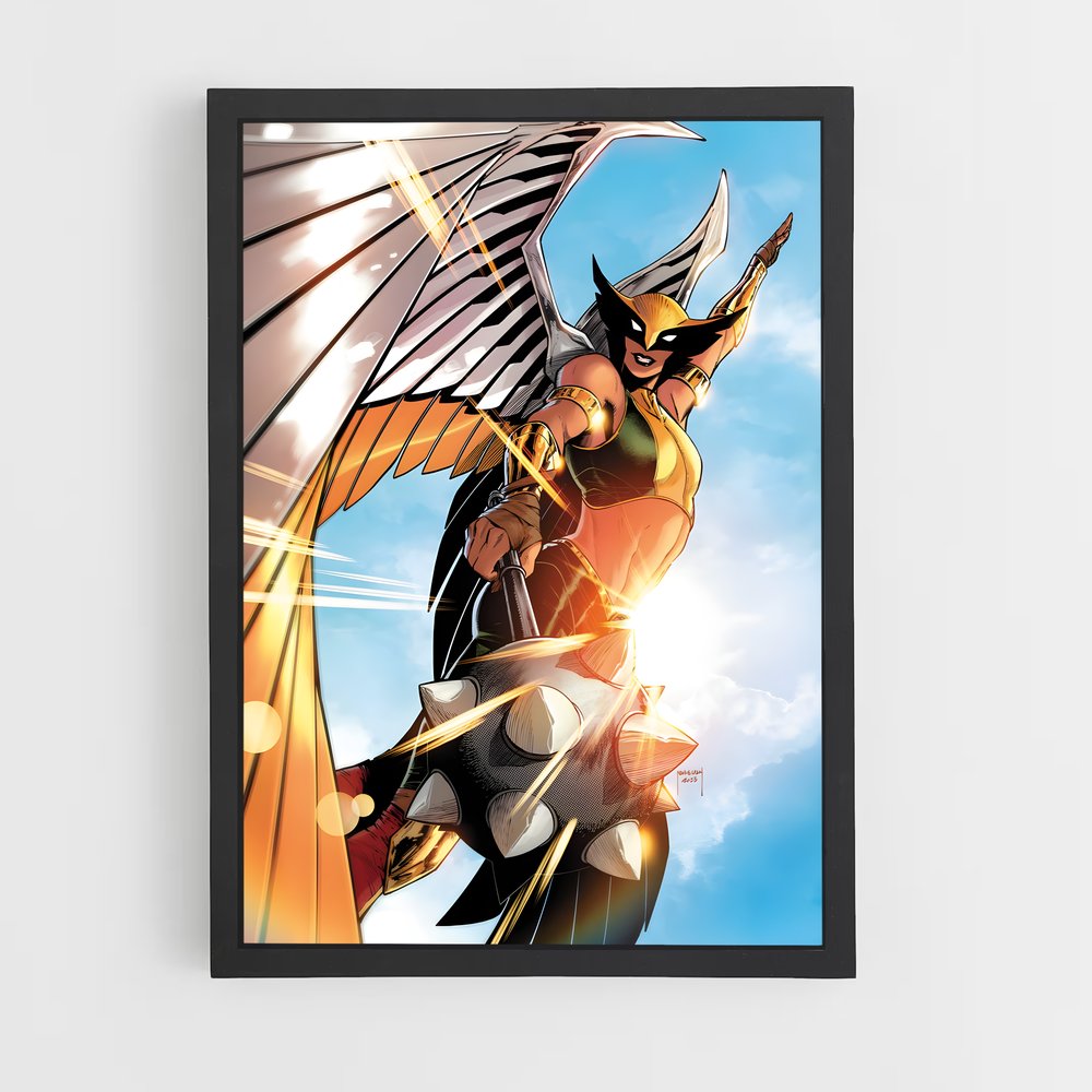 ap-hawkgirl-3 cadre Noir