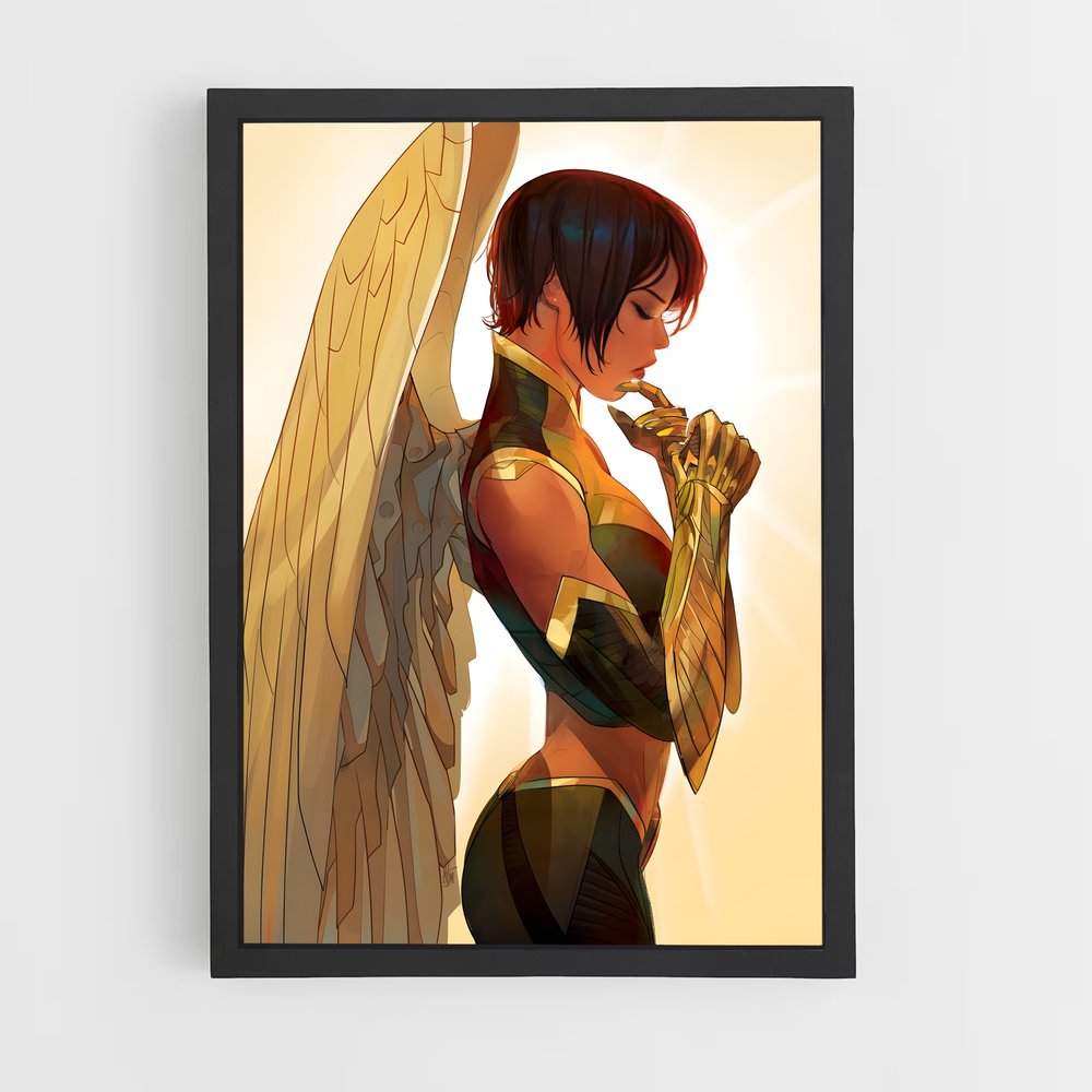 ap-hawkgirl-5 cadre Noir