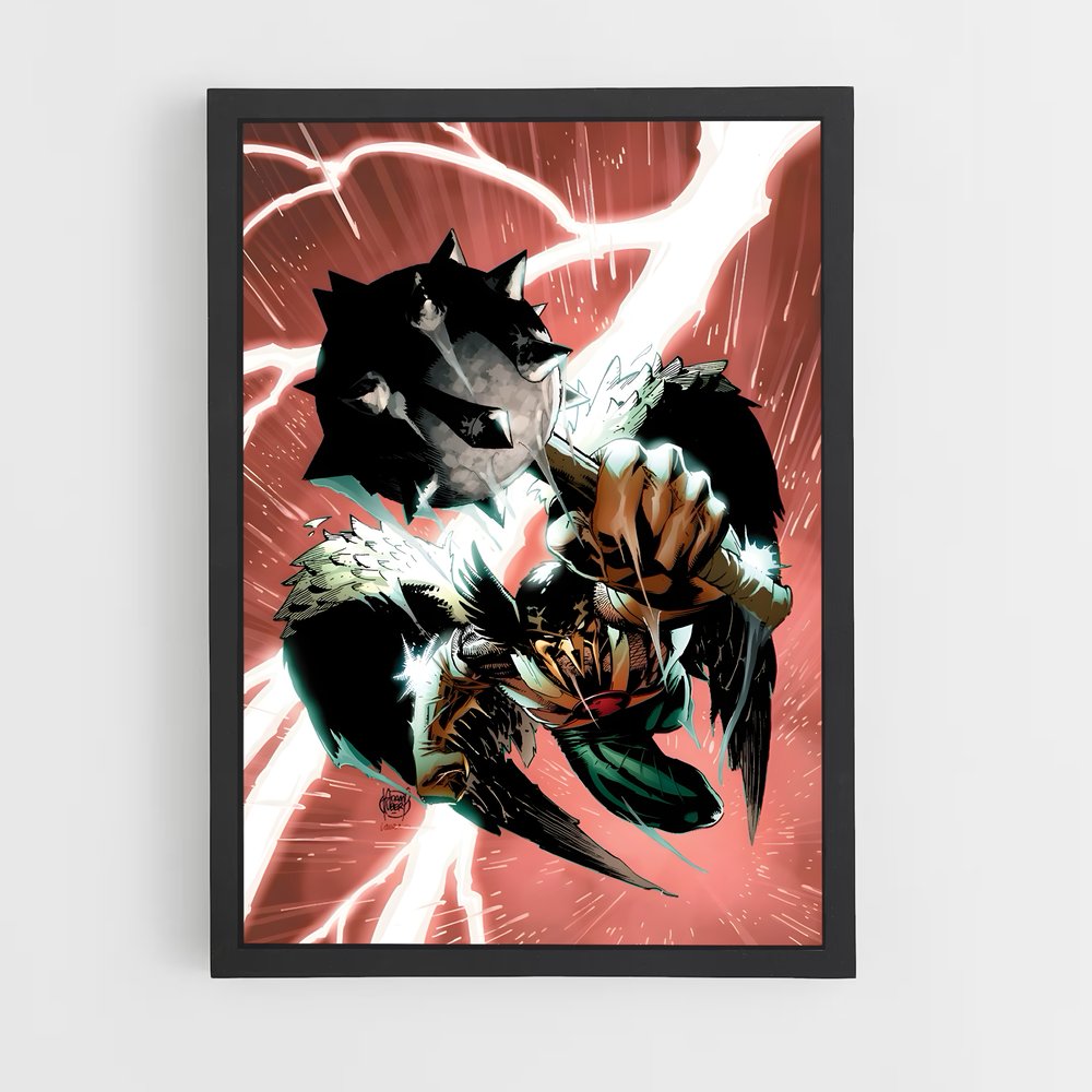 ap-hawkman-12 cadre Noir
