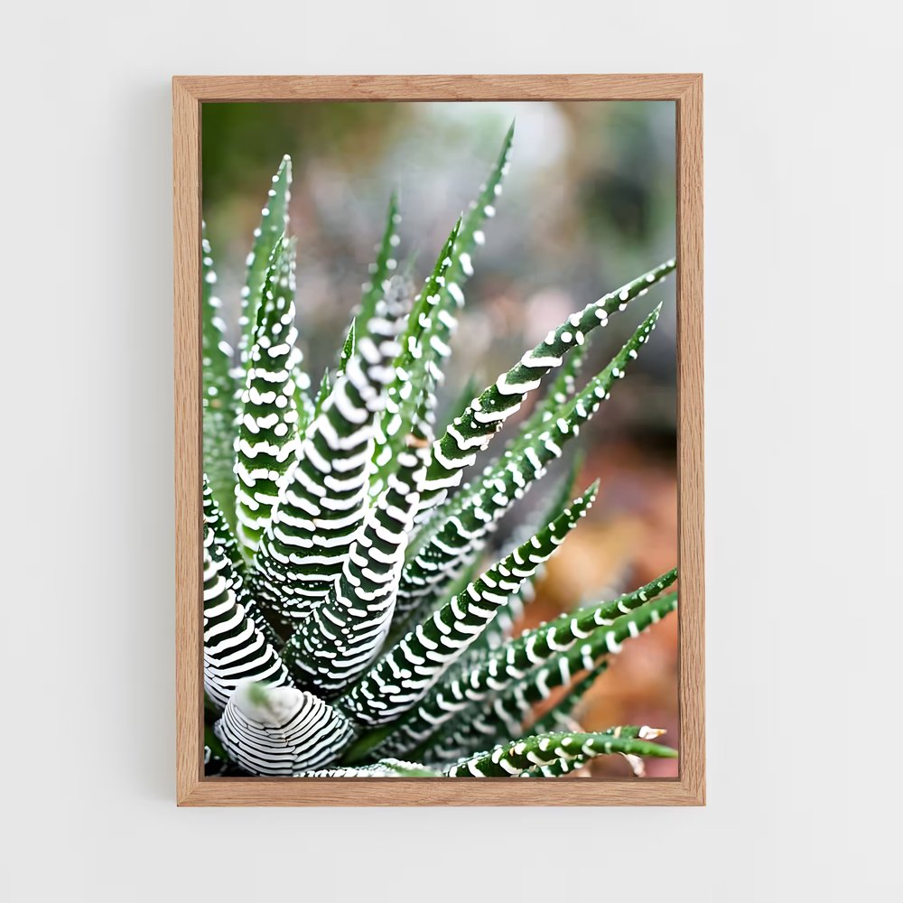 ap-haworthia-1 cadre Bois clair