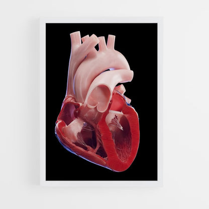 ap-heart-1 cadre Blanc