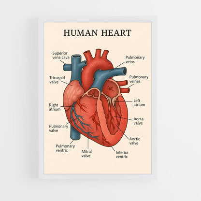 ap-heart-3 cadre Blanc