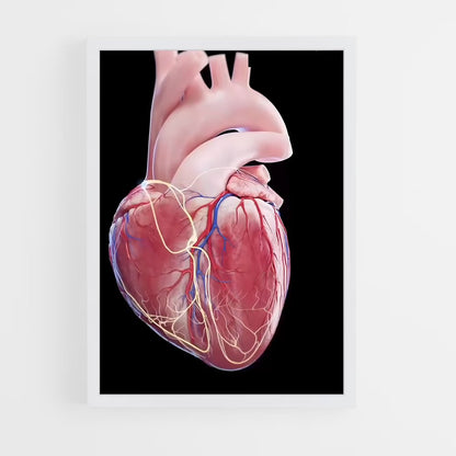 ap-heart-5 cadre Blanc