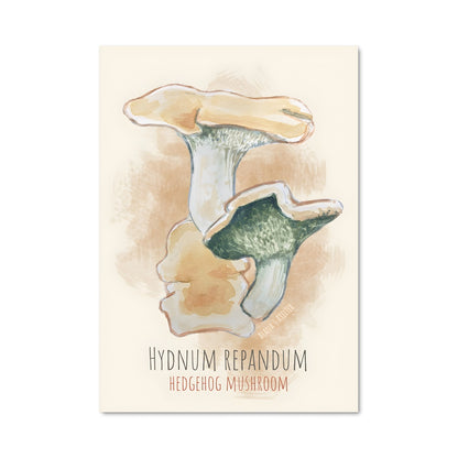 Poster Champignon Hynm