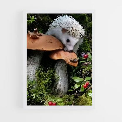 ap-hedgehog mushroom-2 cadre Blanc
