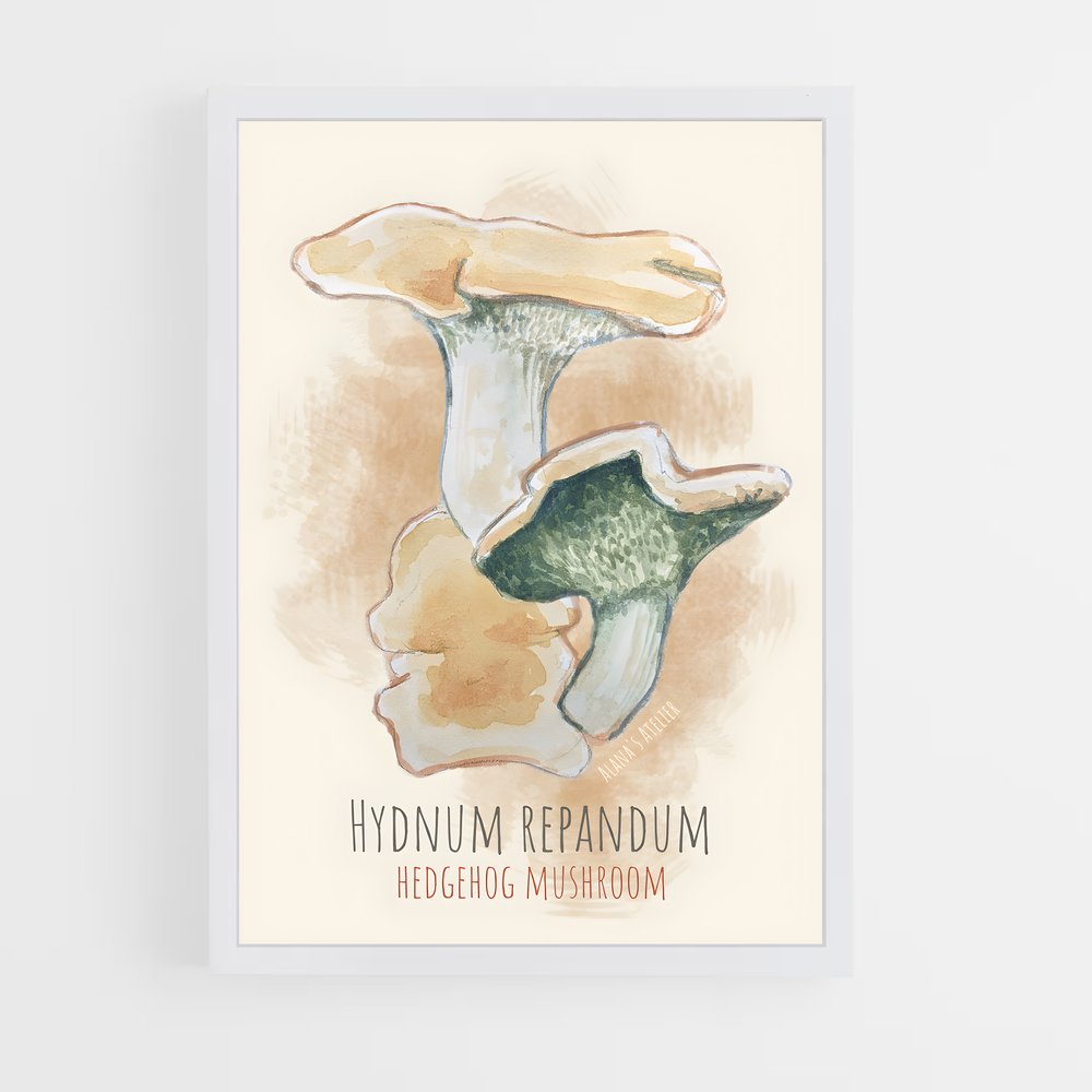 ap-hedgehog mushroom-3 cadre Blanc