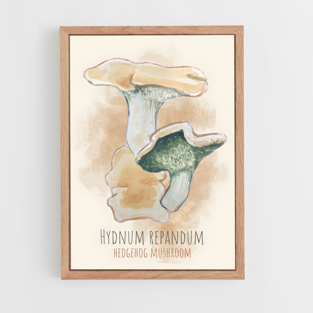 ap-hedgehog mushroom-3 cadre Bois clair