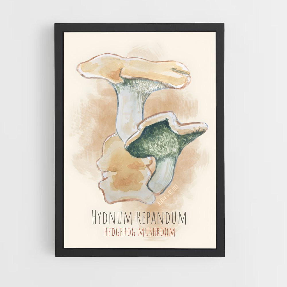 ap-hedgehog mushroom-3 cadre Noir