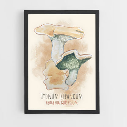 ap-hedgehog mushroom-3 cadre Noir