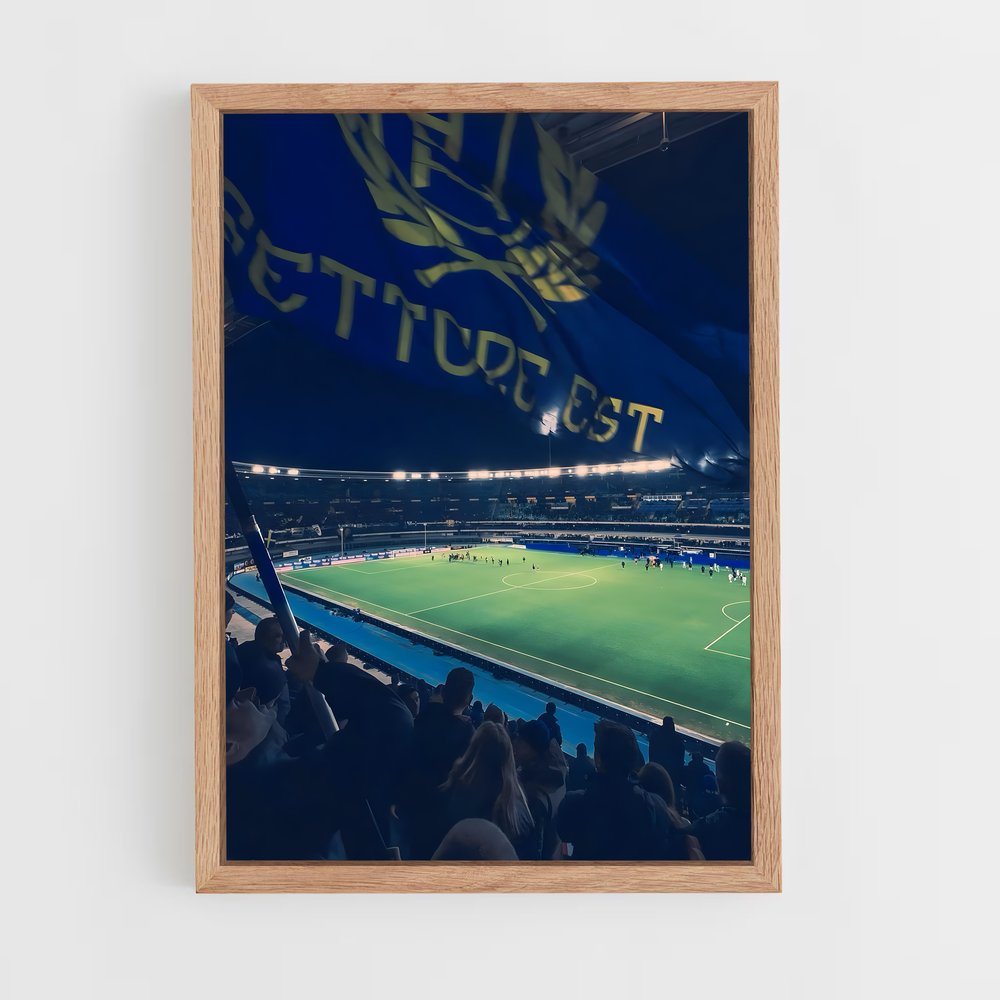 ap-hellas verona fc-10 cadre Bois clair