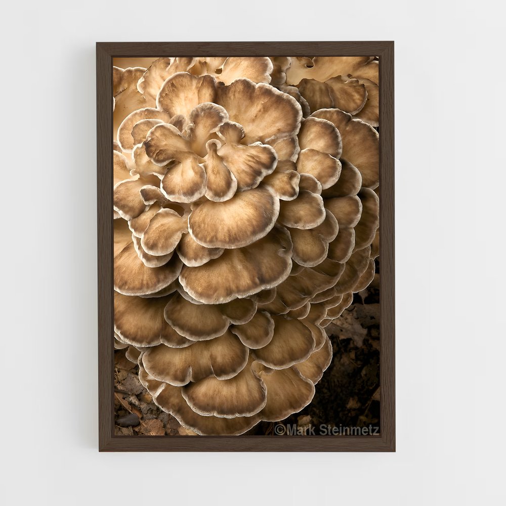 ap-hen of the woods-1 cadre Bois foncé