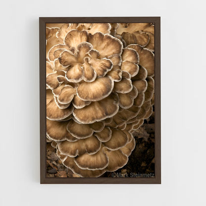 ap-hen of the woods-1 cadre Bois foncé